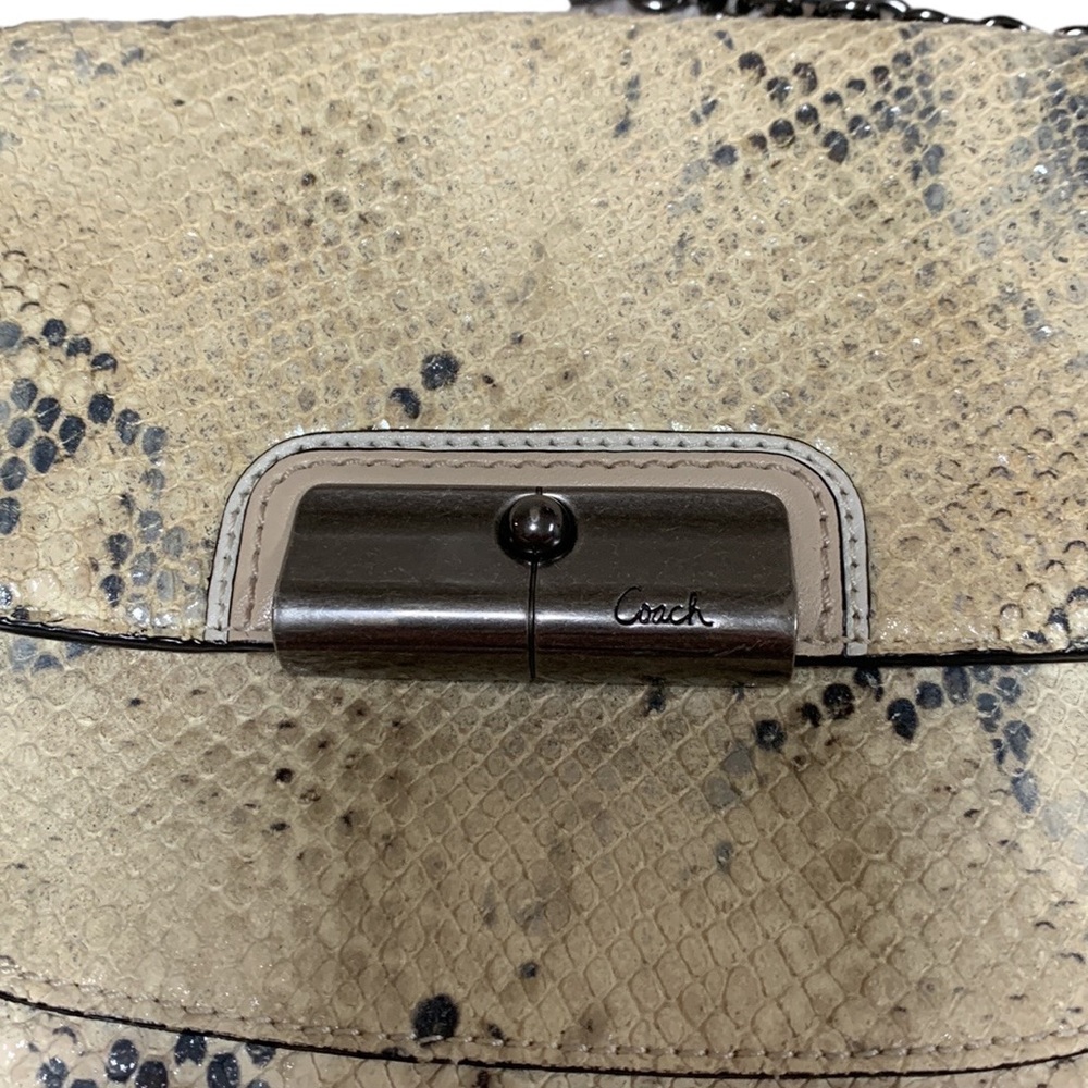 Embossed Python Coach Chain Crossbody - image 2